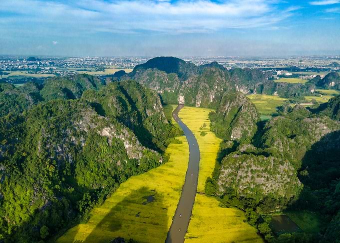 Beauty of ripen rice field