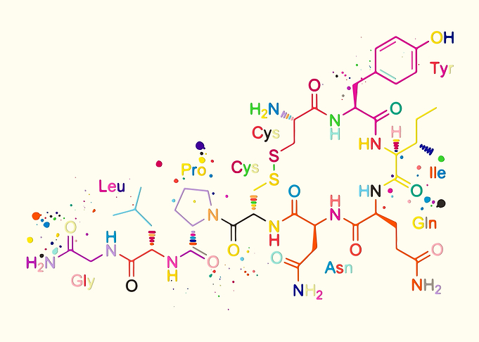 Oxytocin Molecule