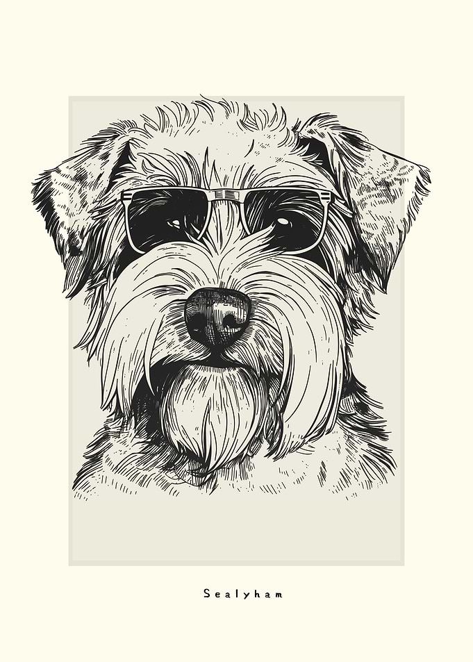 Sealyham lllustration