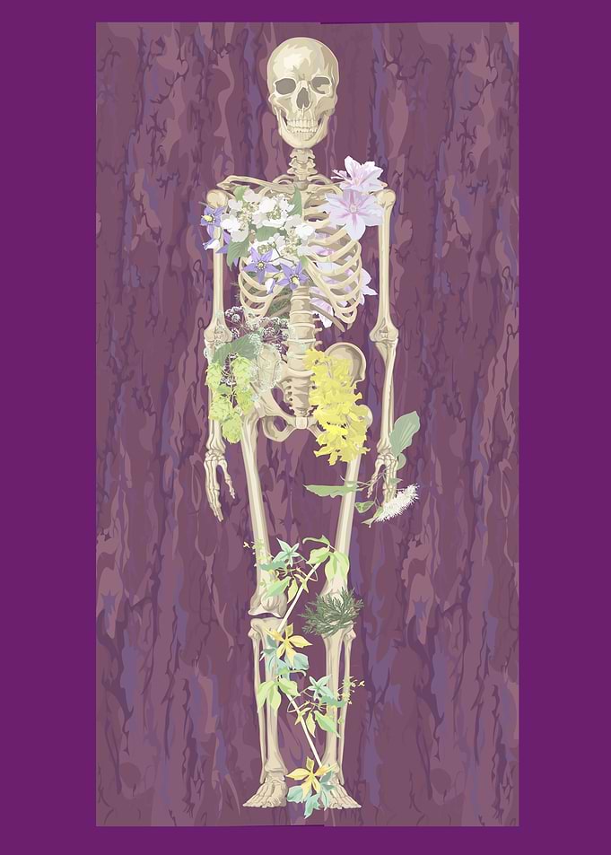 Skeletal system