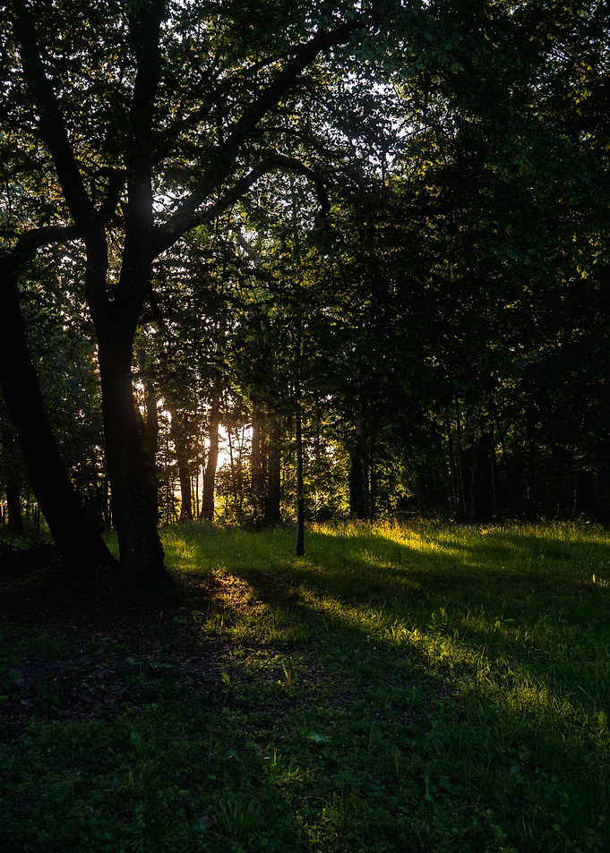 Nature and light