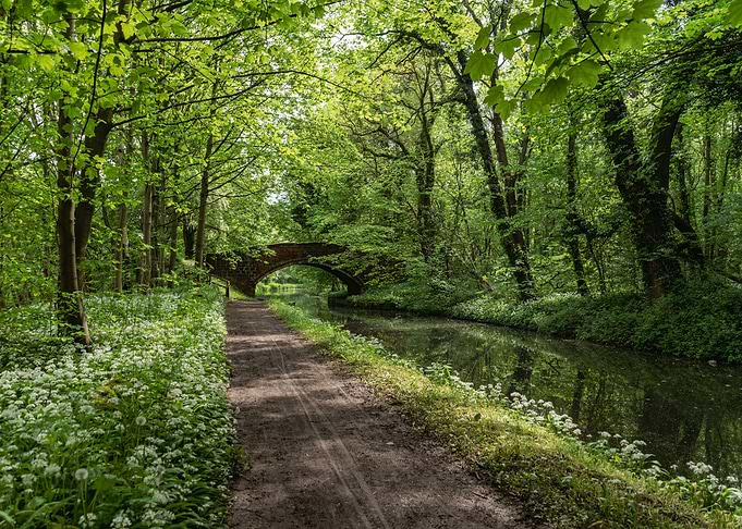 Spring on the Canal