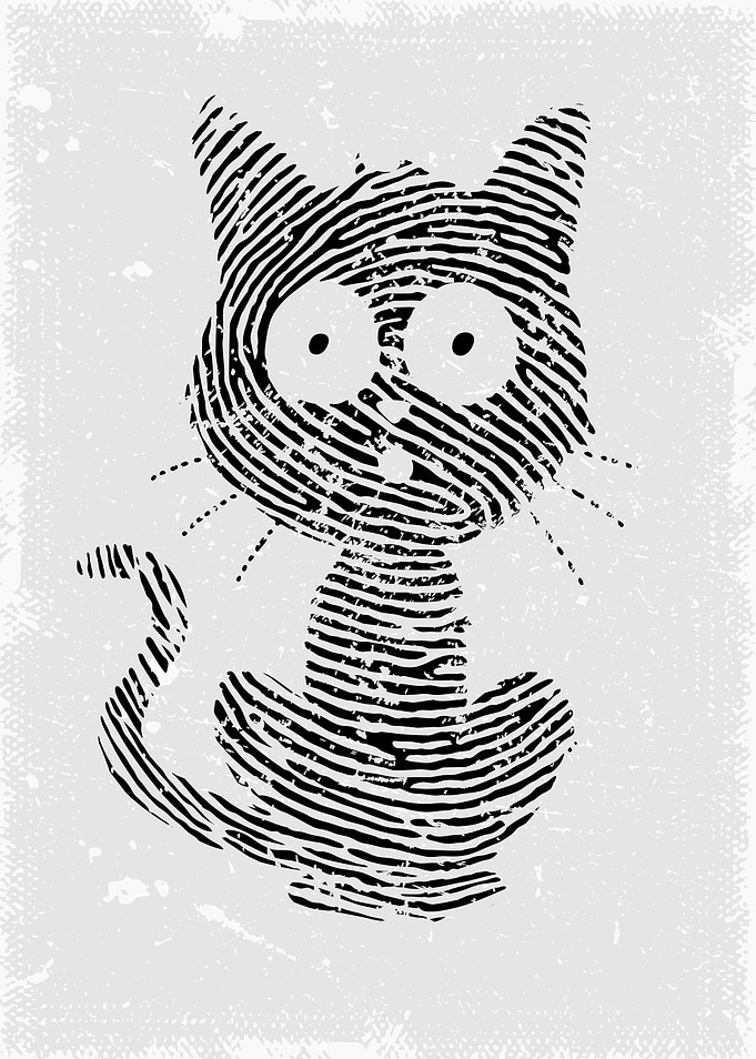 Unique cat