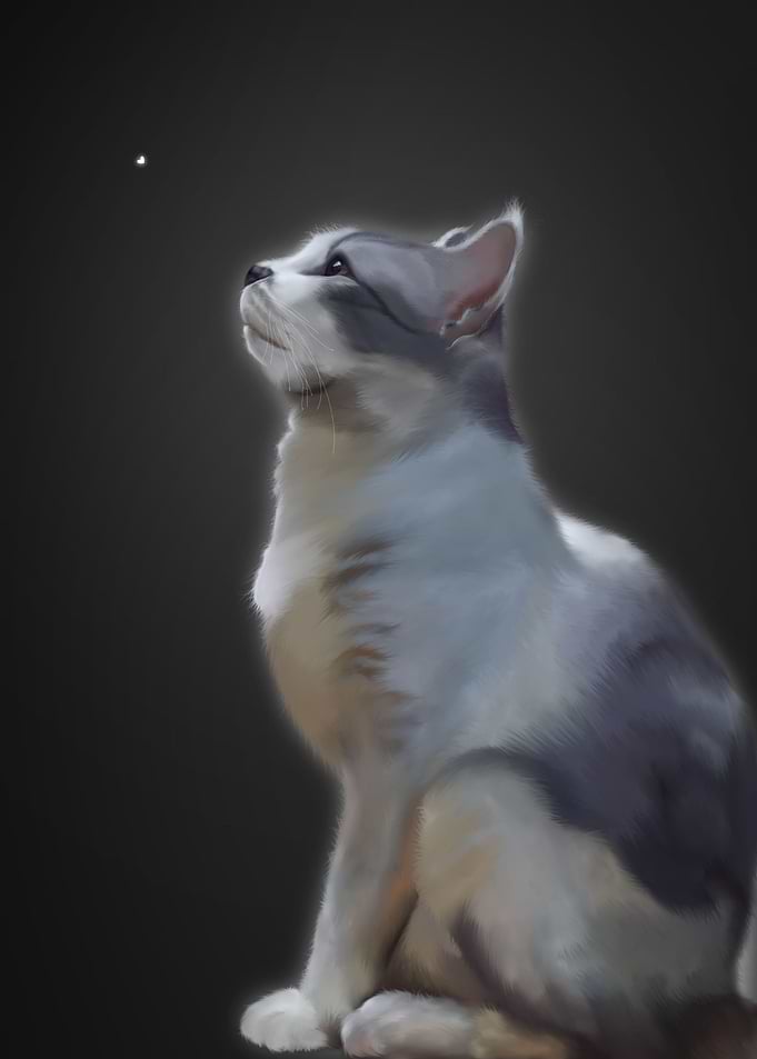 Hope cat