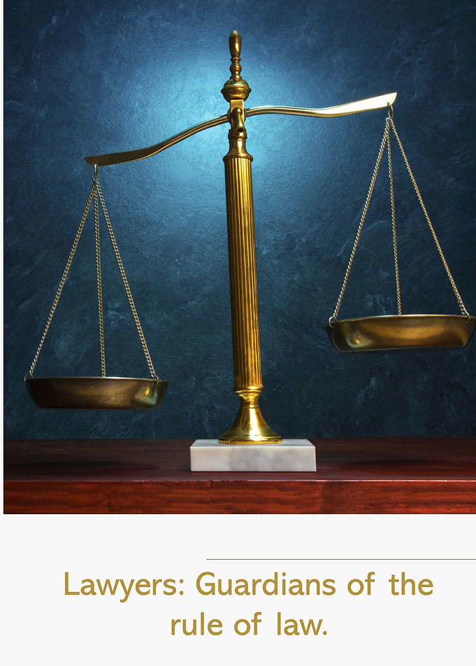 Lawyers Guardians