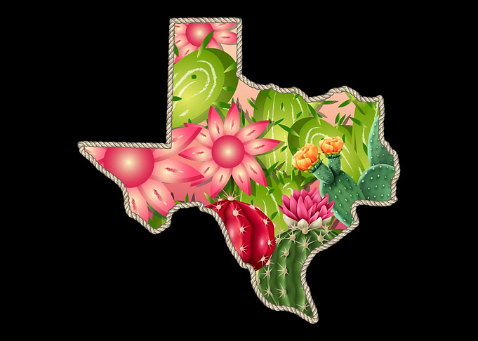 Texas Silhouette