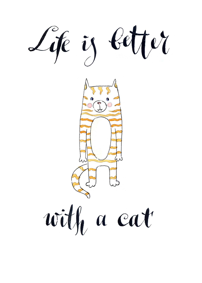 Life is better with a cat