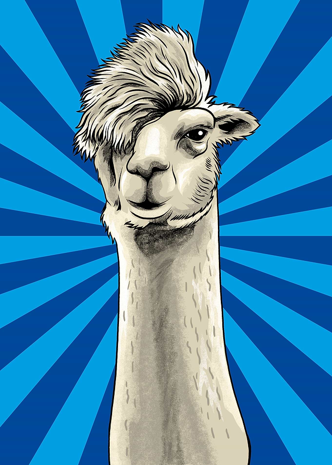 Hipster Llama Meme