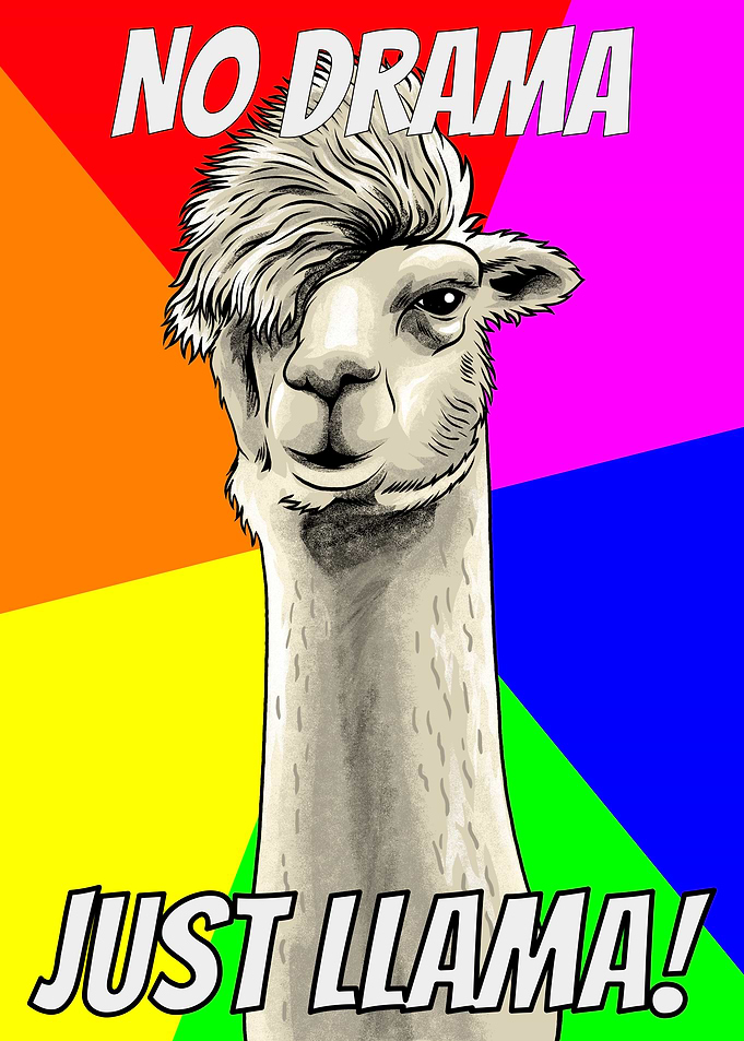 No Drama Llama Meme