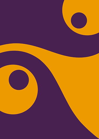 Shape V2