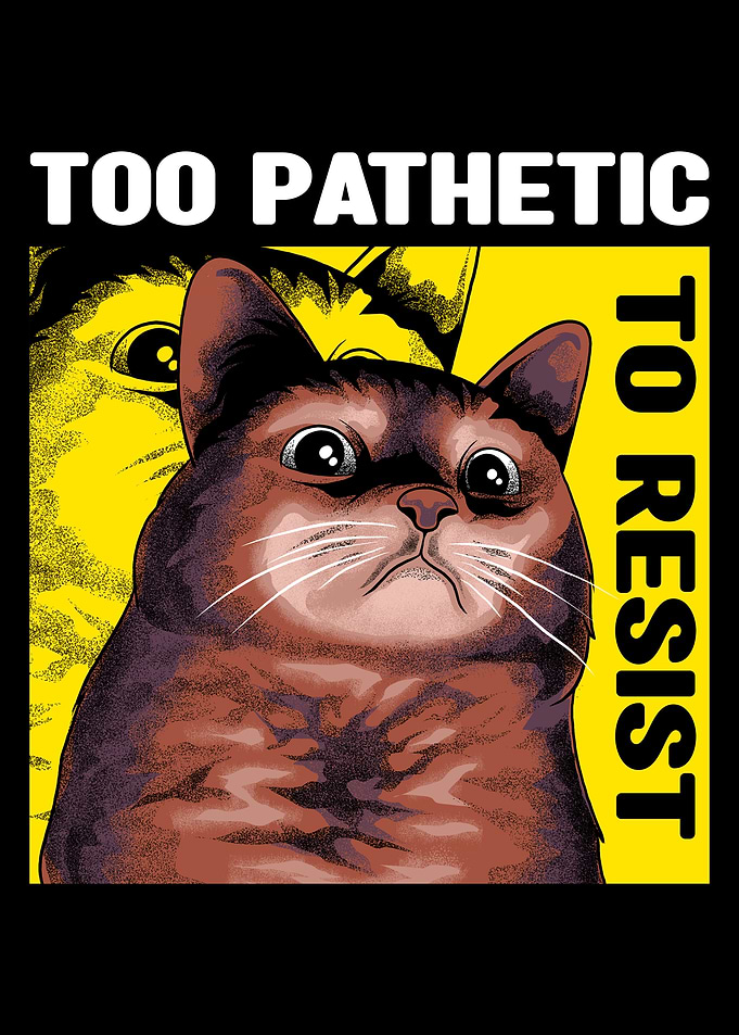 Pathetic Cat Meme