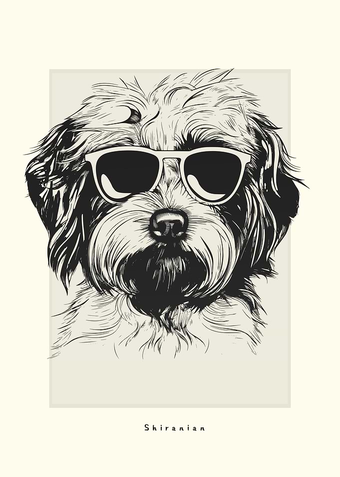 Shiranian Illustration