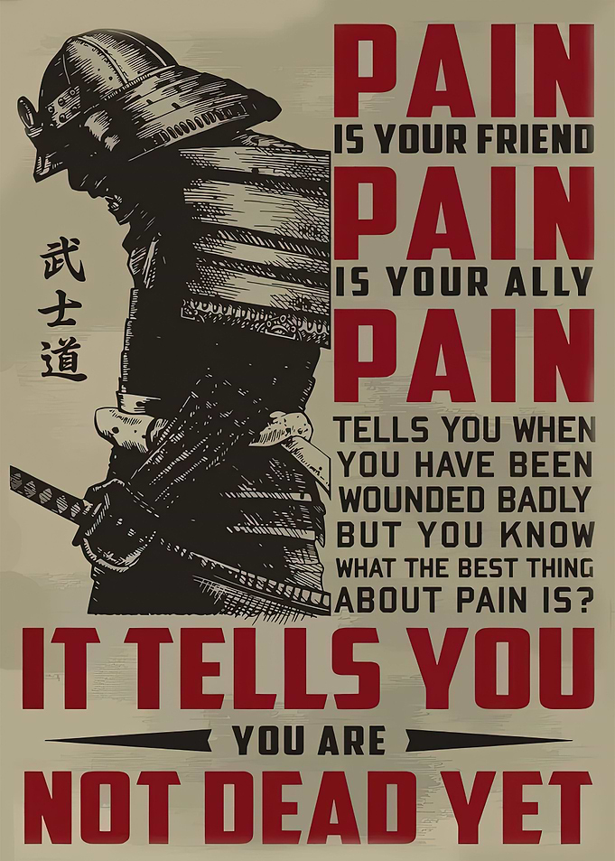 Samurai Japan Code