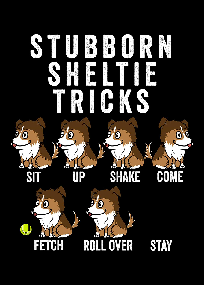 Stubborn Sheltie Tricks