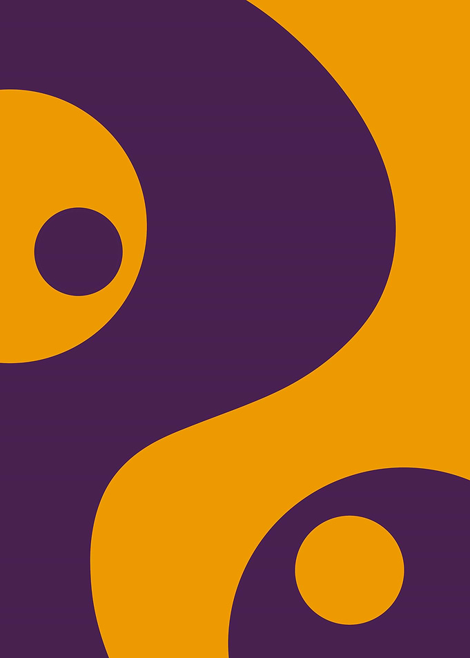 Shape V3