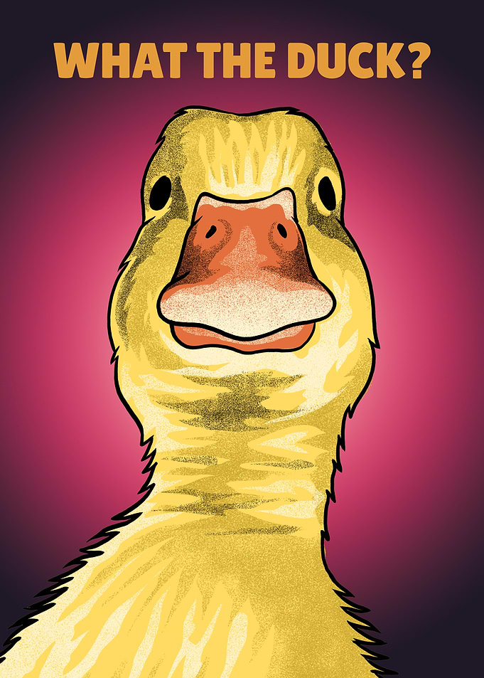 Duck Meme