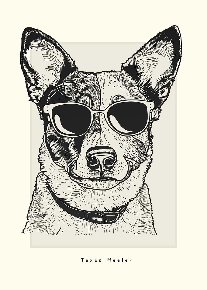 Texas Heeler Sketch