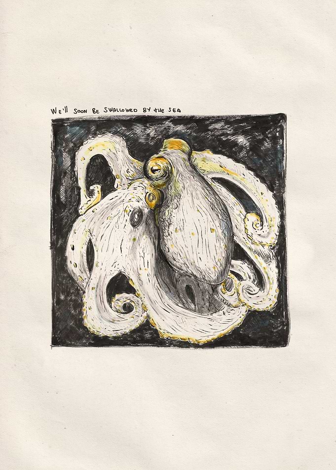 Octopus Sketch