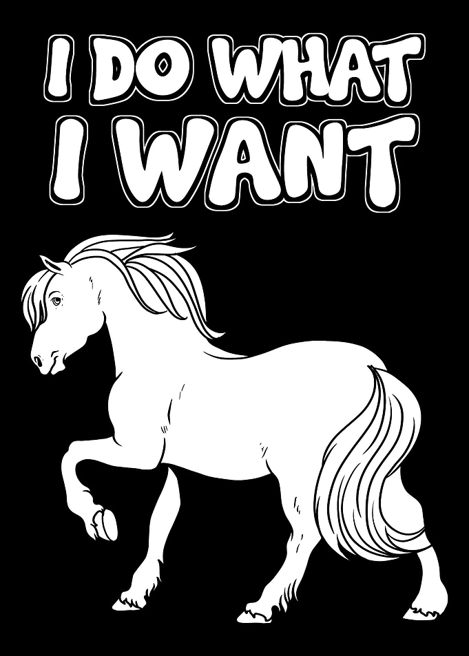 I Do What I Want Horse