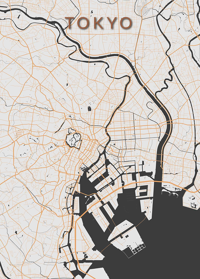 Tokyo City Map