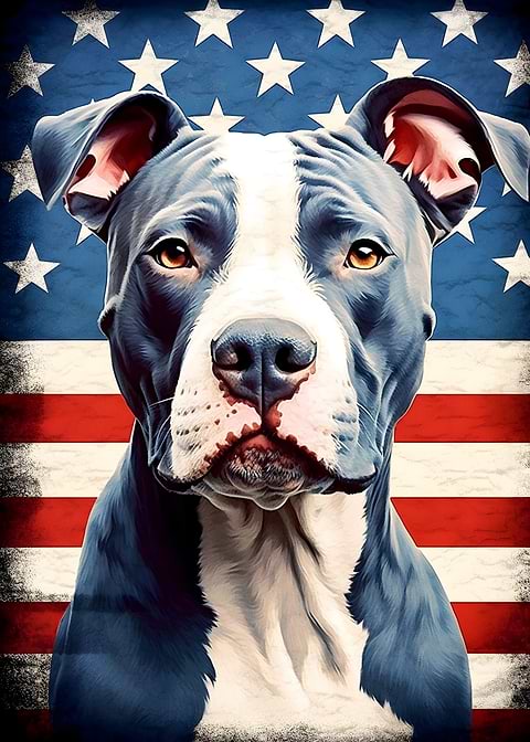 American Independence Art — metal poster wall art