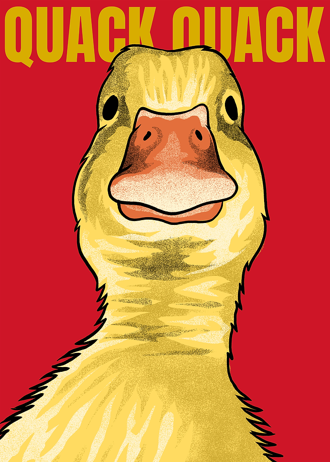 Funny Duck Meme