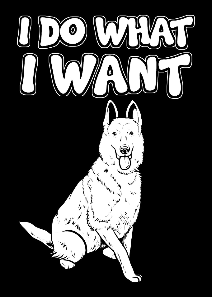I Do What I Want Dog