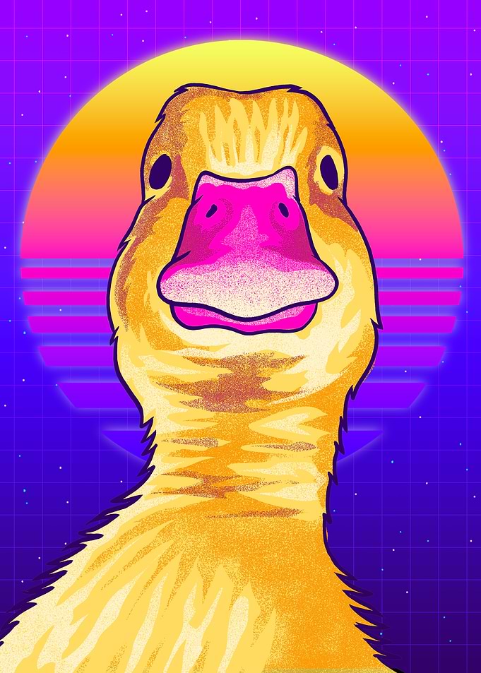 Duck Staring Meme