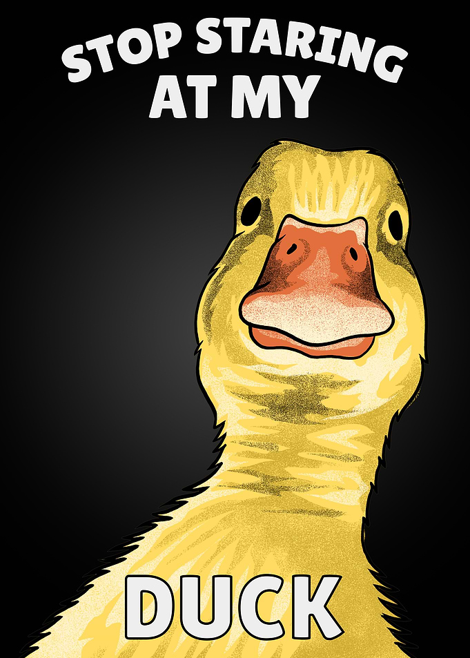 Duck Meme