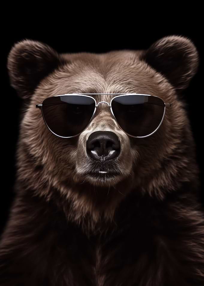 Cool Bear Wallpaper