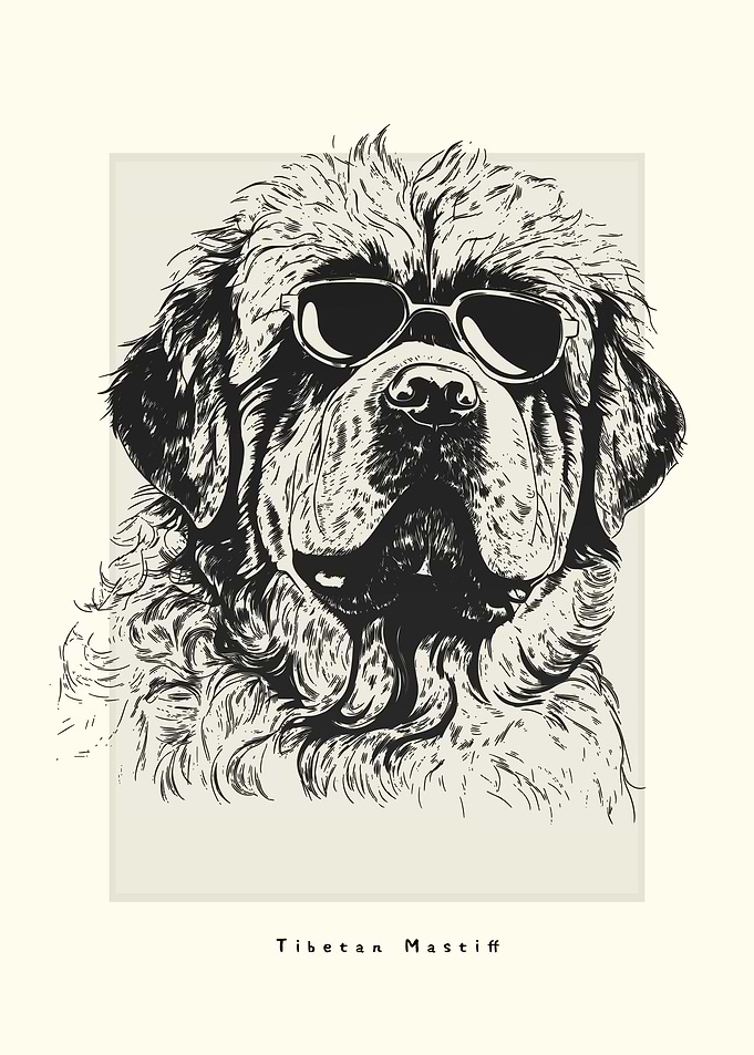 Tibetan Mastiff Sketch