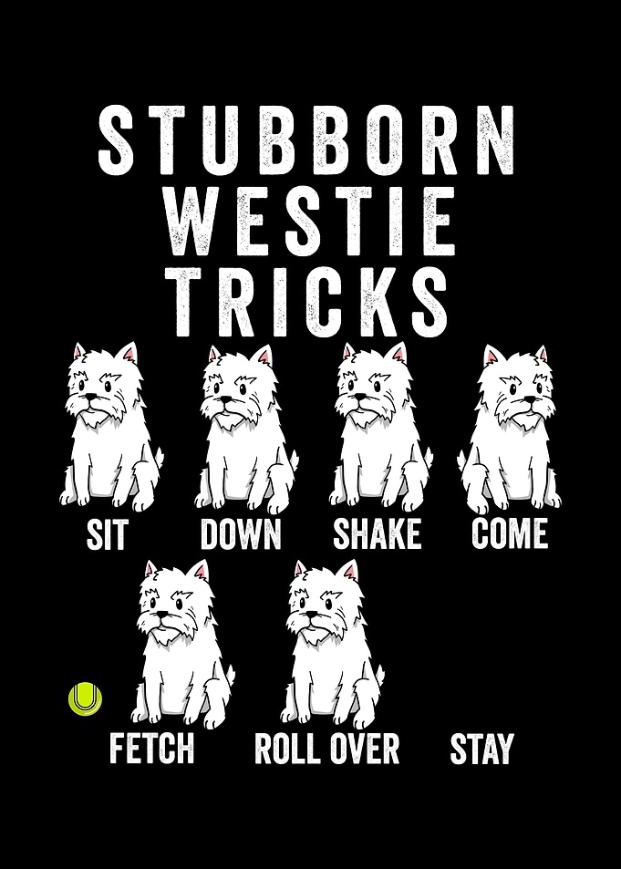 Stubborn Westie Tricks