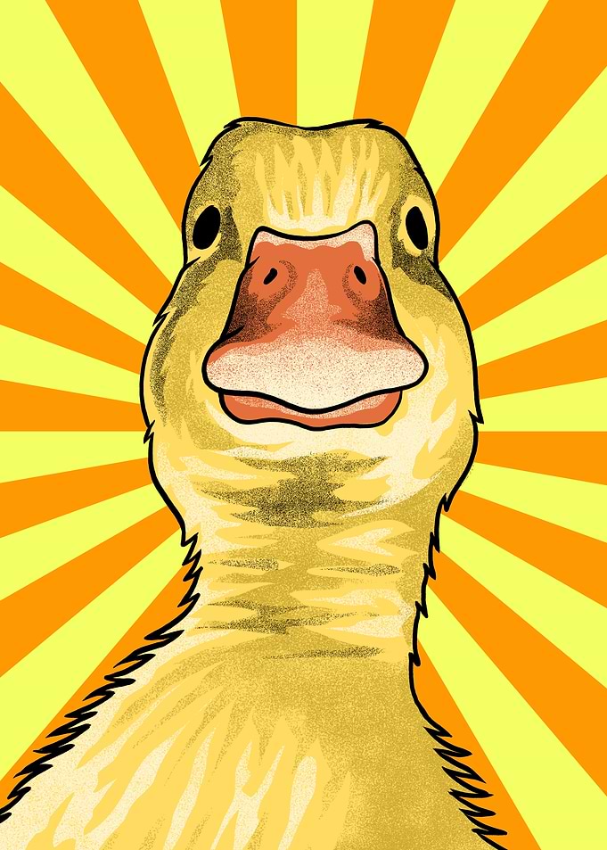 Funny Duck Meme