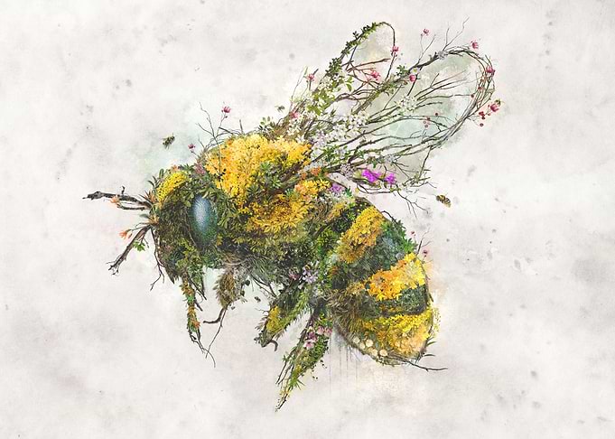 Bumble Bee