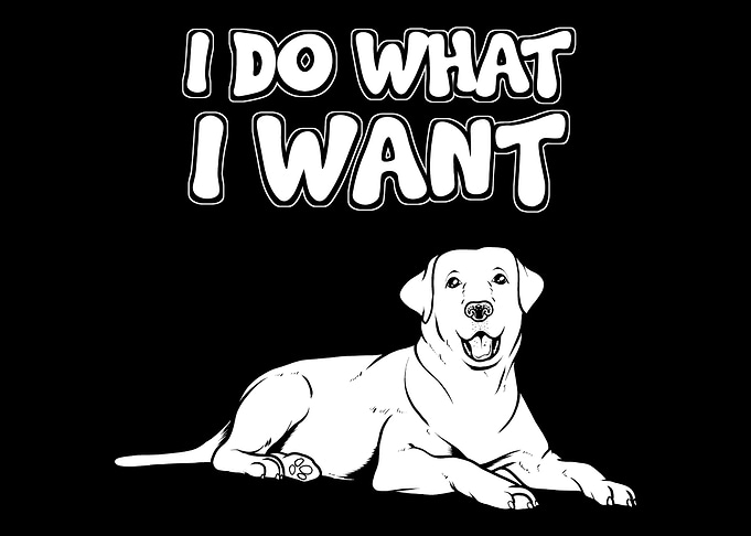 I Do What I Want Dog
