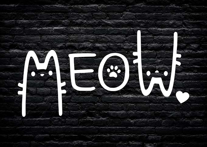 Meow Cat