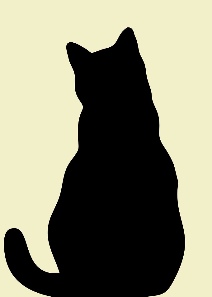 Sitting Cat