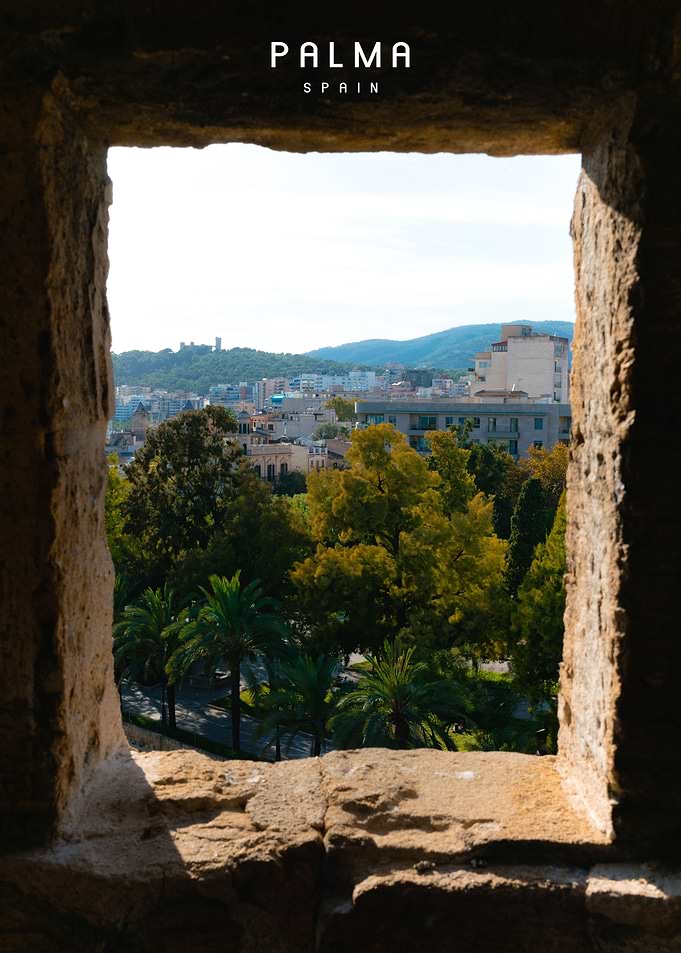 Palma