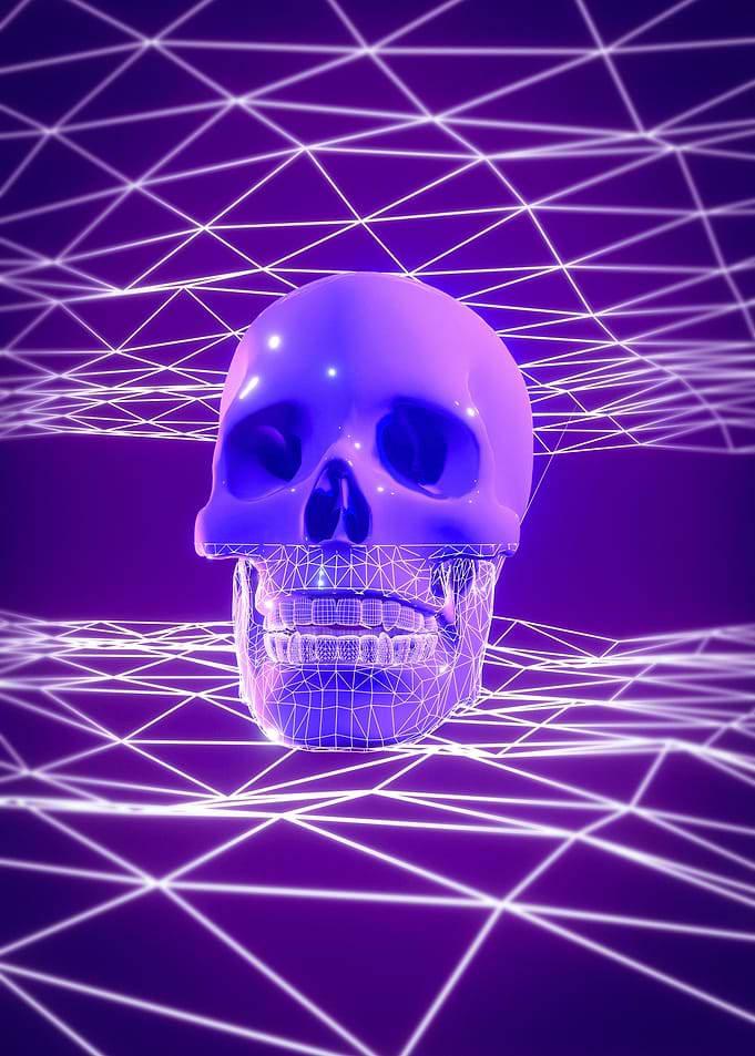 Wire Skull