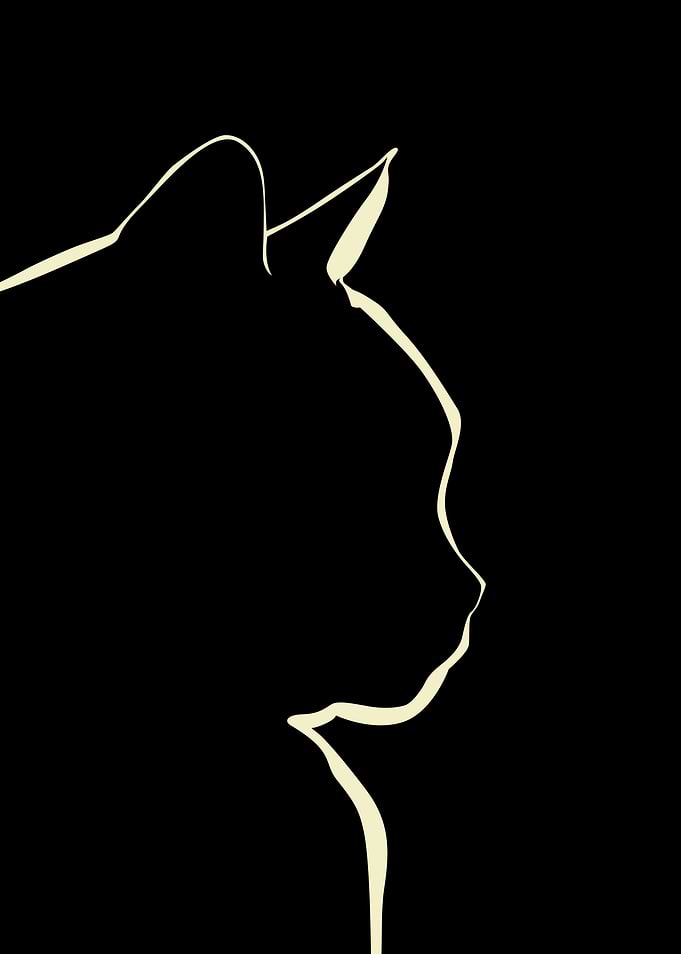 Cat Silhouette