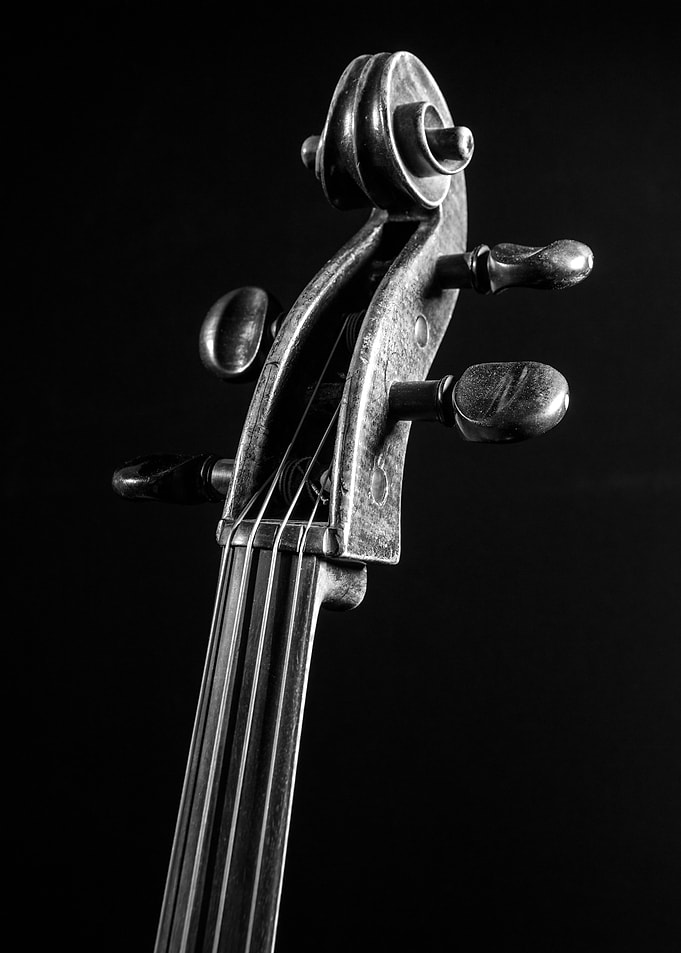 Antique cello scroll