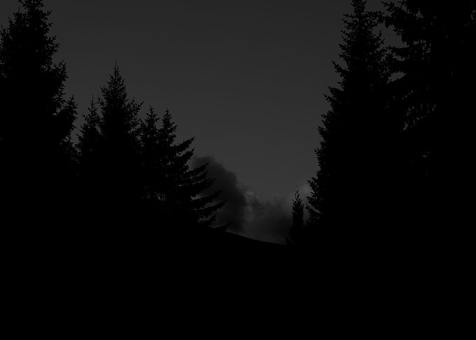 The dark