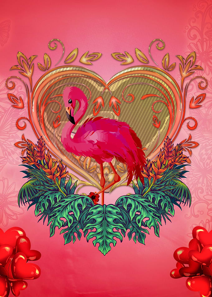 Wonderful flamingo