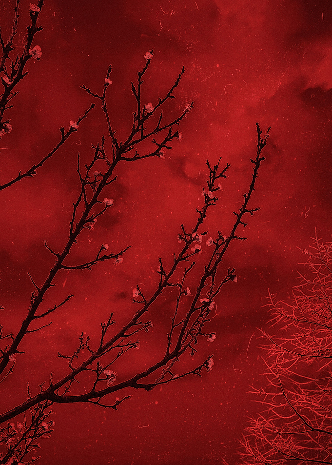 Decay