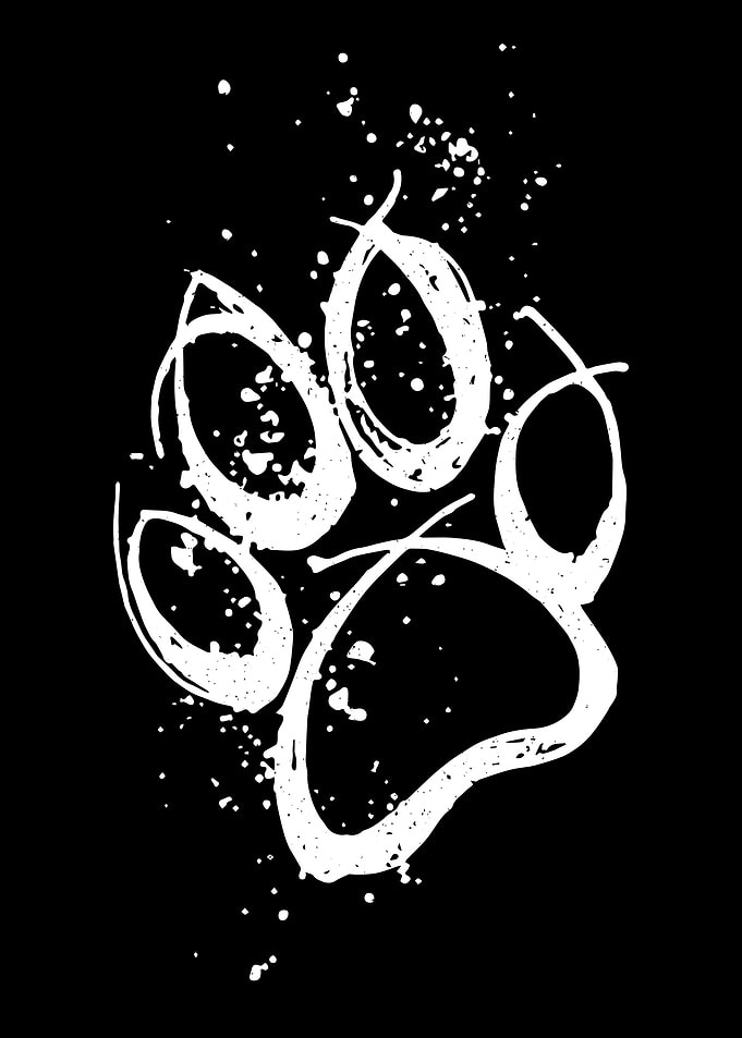 Dog Paw Happy Dog Fun