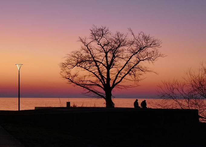 photo sunset love tree 2