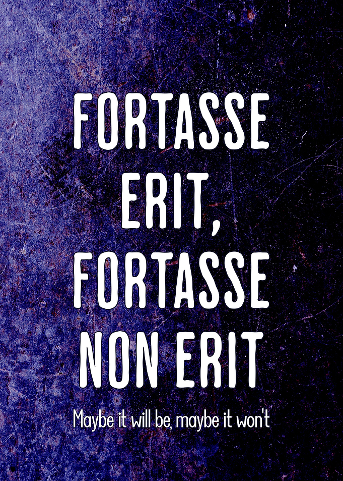 Latin Quote Maybe It Will