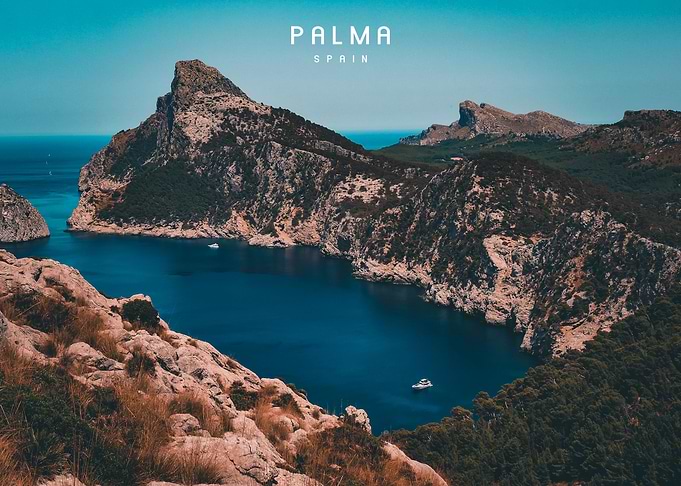 Palma