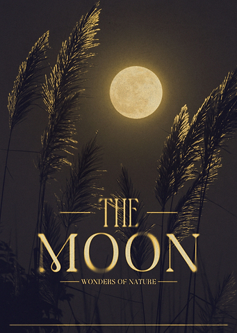THE MOON