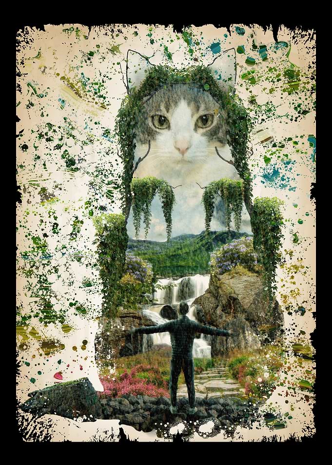 Cat Nature Lover